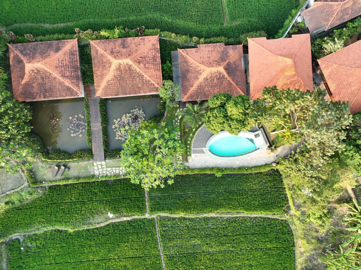 אובוד Griya Kcb Villa מראה חיצוני תמונה